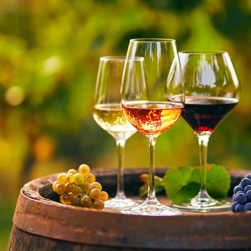 I vini della Romagna: abbinamenti e curiosità