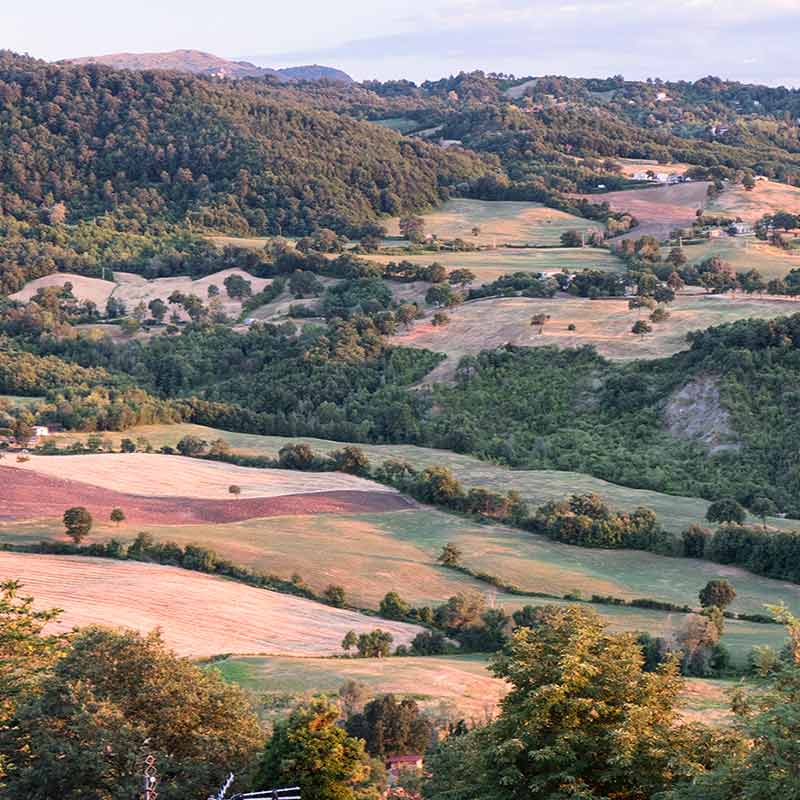 Speciale settembre, una visita nell'entroterra romagnolo