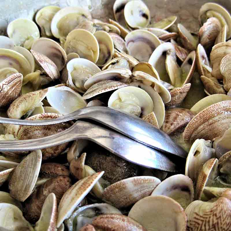 La Notte Magica delle Vongole, appuntamento con la tradizione marinara locale