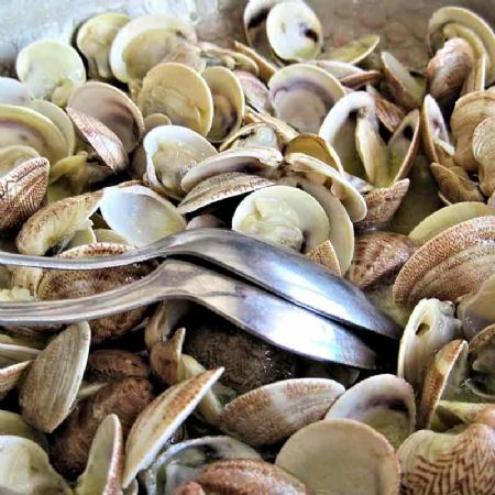 La Notte Magica delle Vongole, appuntamento con la tradizione marinara locale